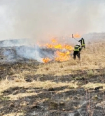 За добу рятувальники Львівщини ліквідували 10 пожеж сухої трави