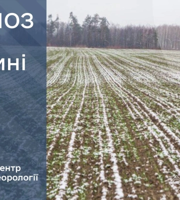 Пориви вітру, ожеледиця та плюсова температура – прогноз погоди на Сумщині