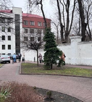 Раптова смерть посеред вулиці: в Івано-Франківську зранку помер чоловік