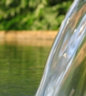 На Рівненщині за використання водних ресурсів сплатили 1,8 мільйона гривень податків