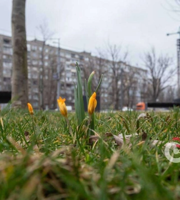 Прогноз погоди у Дніпрі на сьогодні, 24 лютого 2024