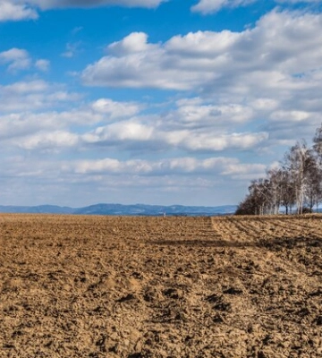 На Тернопільщині оголосили підозру міському голові