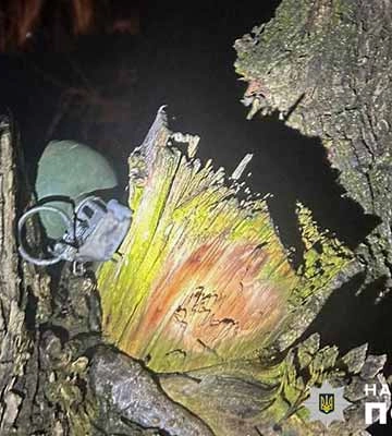 На Полтавщині знайшли боєприпас на дереві в лісосмузі