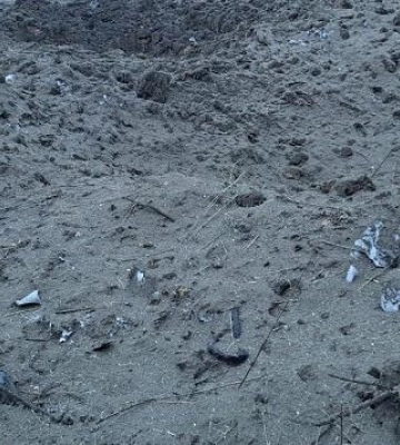 Уночі ворог обстріляв чотири громади на Шосткинщині