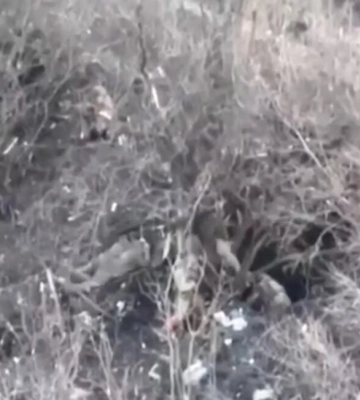 «Були беззбройними та не несли загрози»: омбудсман відреагував на розстріл українських полонених на Бахмутському напрямку