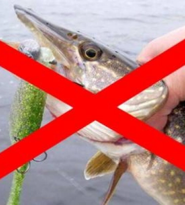 На Рівненщині чоловіка оштрафували за вилов щуки