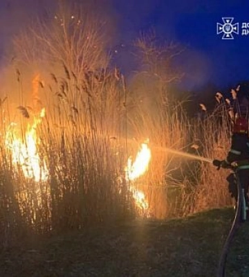 На Дніпропетровщині впродовж доби ліквідували 60 пожеж в екосистемах