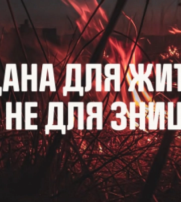 Вогонь знищив понад 3 га сухостою на Львівщині