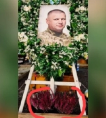 На Волині з могили загиблого воїна вкрали квіти