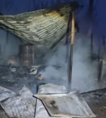 В Одеському районі під час пожежі згоріли свині, кури, качки та кролики