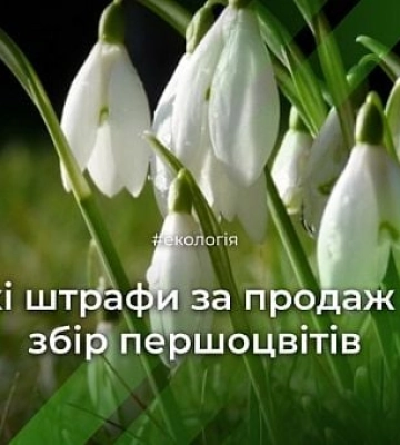 Какой будет погода в Кривом Роге 27 февраля
