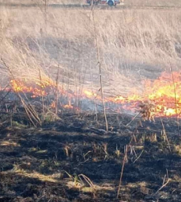 За минулу добу на Львівщині було зафіксовано 13 пожеж сухостою