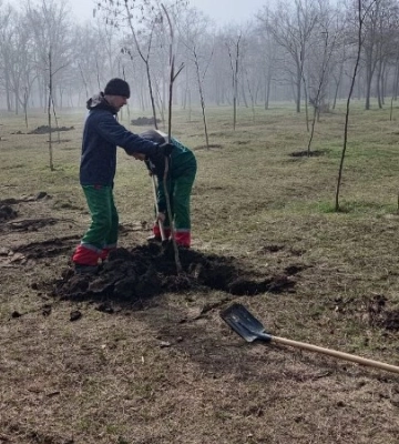 В Одесі комунальники висаджують молоді дерева