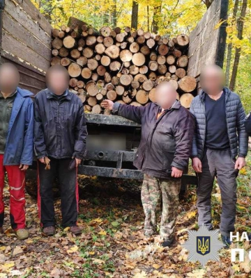 На Харьковщине поймали «черных лесорубов»: нарубили деревьев на миллион грн
