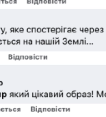 Листя розкрило секрет будинку на вулиці Стеценка у Чернівцях, який поростає виноградом