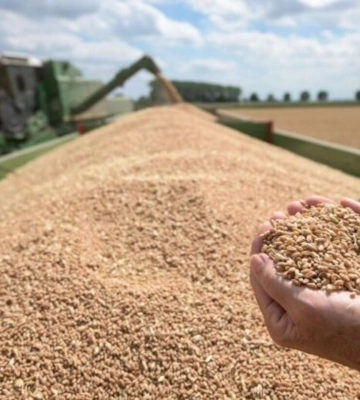 Україна приєдналася до групи найбільших експортерів аграрної продукції в СОТ