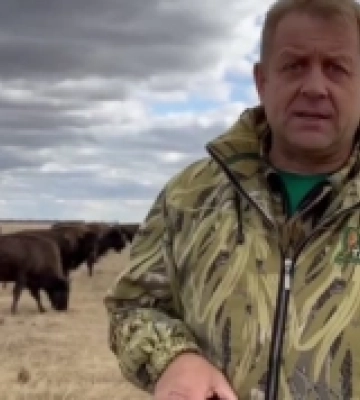 Із заповідника «Асканія-Нова» до окупованого Криму вивезуть партію тварин