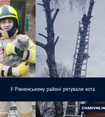 На Рівненщині рятувальники ліквідували чотири пожежі та знімали котика з дерева