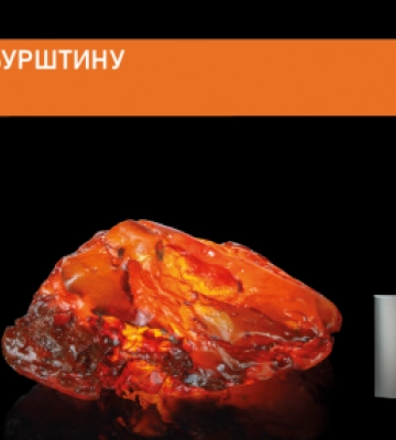 Перше місце видобутку бурштину в Україні: КП «Волиньприродресурс» (VPR) за рік збільшило показники видобутку бурштину у п’ять&amp;hellip;