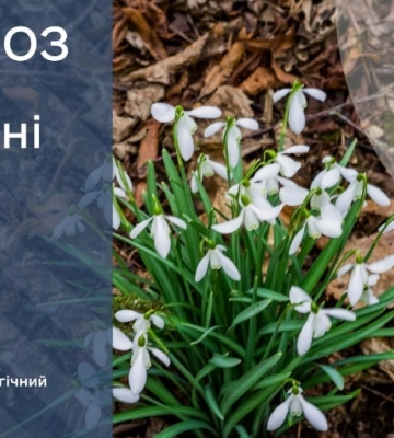Погода в Україні: мінлива хмарність без опадів