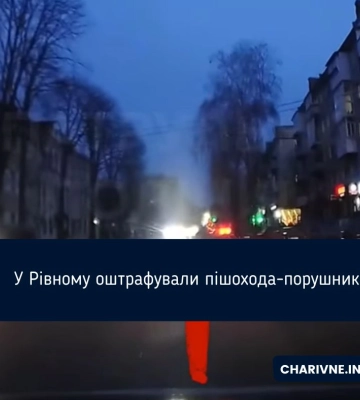 У Рівному оштрафували пішохода-порушника
