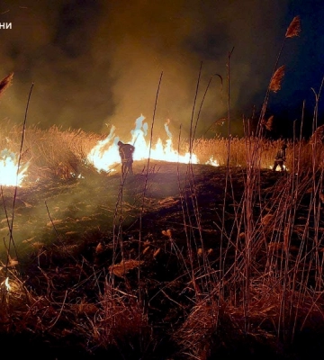 На Одещині правоохоронці покарали палія