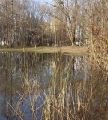 У парку поблизу автовокзалу Львова запрацювала система водовідведення