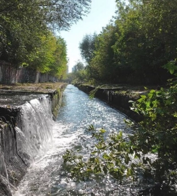 Стали відомі екологічні проблеми в Києві, які хочуть вирішити цього року: список