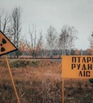 Рыжий лес у ЧАЭС. Мэр Вараша заявил, что все захватчики оттуда не выжили. ГУР: Уточняется