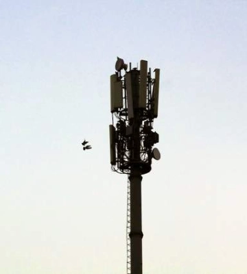 На Закарпатті селяни повстали проти встановлення вежі 5G