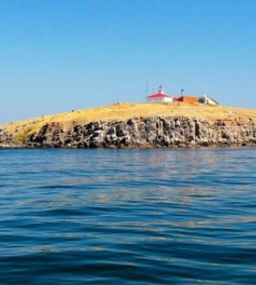 Неподалік острова на Одещині стався землетрус