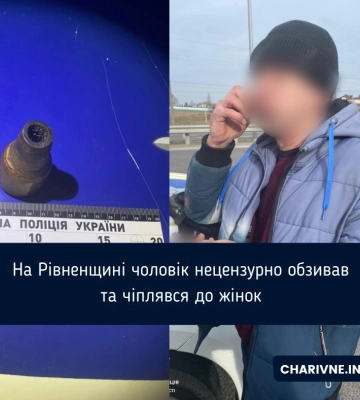 У Дубні на заправці двоє дебоширів чіплялися до людей