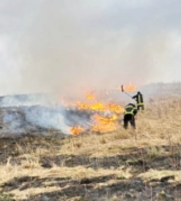 За добу на Львівщині спіймали 23 паліїв сухої трави