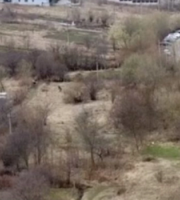 Посадовці Солонківської сільради привласнили землю, на якій мала будуватися вул. Вернадського