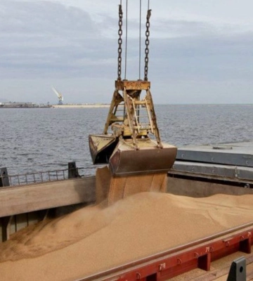 З початку року окупанти вивезли з порту Маріуполя понад 20 тисяч тонн краденого зерна