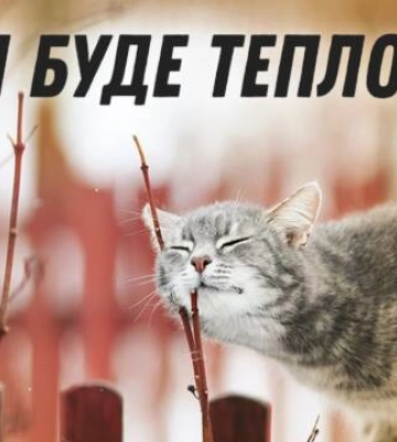 Якою буде весна 2024 на Кіровоградщині (відео)