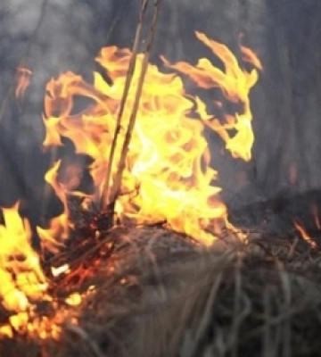 На Волині від початку року зафіксували три пожежі в екосистемах