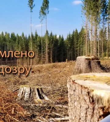 Розкрадання лісу на п’ять мільйонів грн. Підозрюють посадовців військового лісництва Львівщини