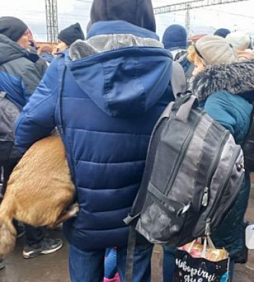 В Кривом Роге троллейбусы временно будут курсировать по измененному маршруту