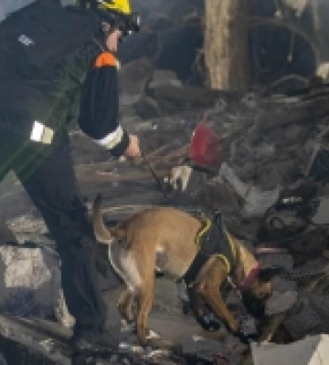 Кількість загиблих в Одесі зросла до двох, під завалами шукають ще сімох людей