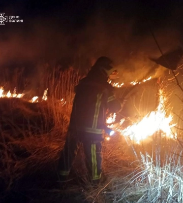 Палії чекали темряви: на Волині загасили дві пожежі сухостою
