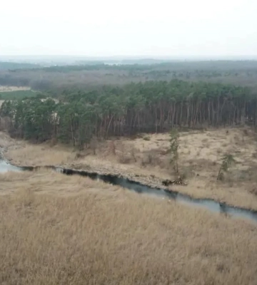 Палії чекали темряви: на Волині загасили дві пожежі сухостою