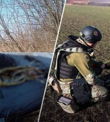 Частини ворожої ракети Х-101 виявили та знешкодили на Вінниччині. ВІДЕО+ФОТО