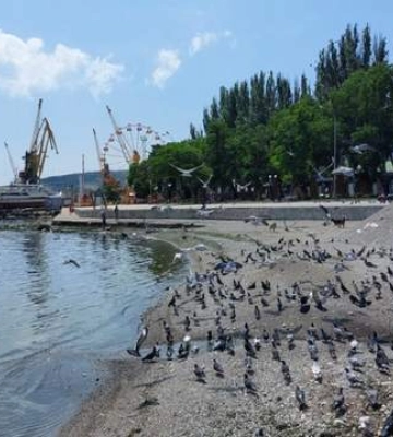&quot;Капец чо было, жутко&quot;: в Феодосии слышали взрывы возле нефтебазы