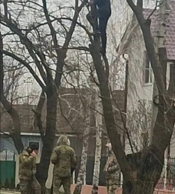 Креативний підхід: чоловік на Одещині заліз на дерево, щоб сховатися від ТЦК (ФОТО)