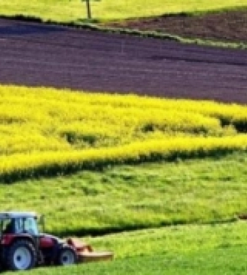 На Рівненщині землю фермерському господарству передавали з порушеннями