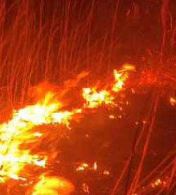 Рятувальники ліквідували пожежу в житловому будинку на Львівщині