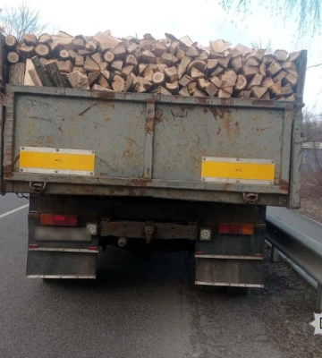 Віз дуб: на Черкащині поліція затримала водія, що перевозив деревину