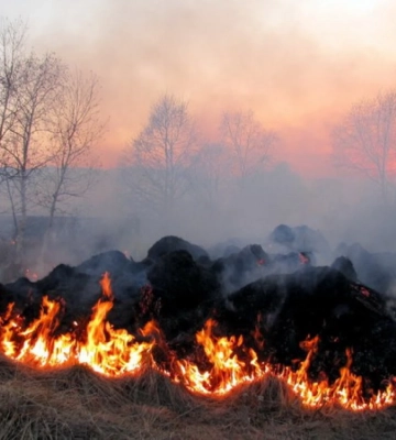 Рятувальники Рівненщини моніторять екосистеми