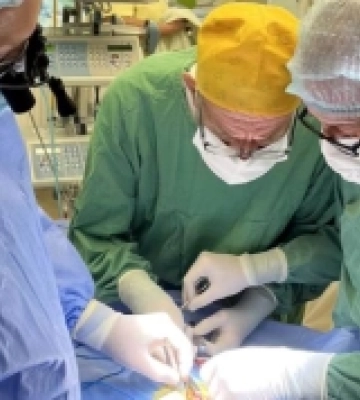 Луцькі медики прооперували дівчинку з вагою 900 грамів
